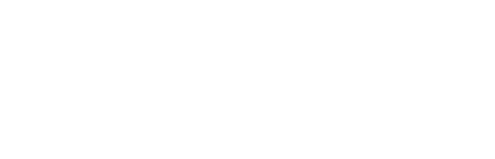 Nucleio Logo